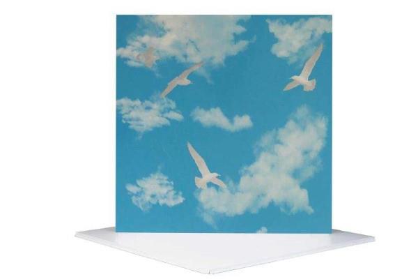 Gökyüzü Desen Plastik Asma Tavan